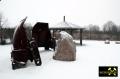 Findling Weissack-Stein auf der ehem. Ortslage von Weissack bei Forst, Lausitz, Brandenburg, (D) (7) 23. Januar 2016.JPG